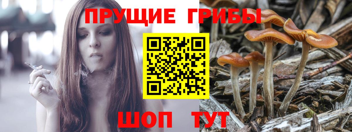 Галлюциногенные грибы мухоморы  Вход с VPN  Мценск 